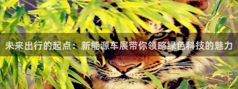 新宝gg主管：未来出行的起点：新能源车展