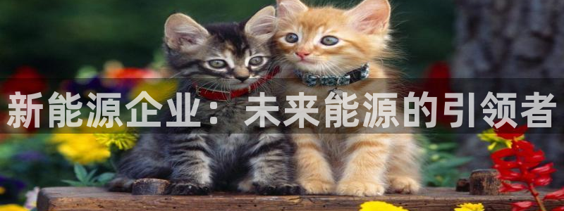 新宝gg返点:新能源企业:未来能源的引领者