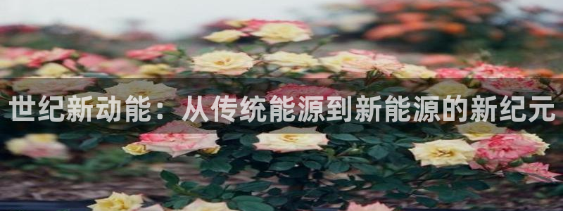 新宝gg首页平台