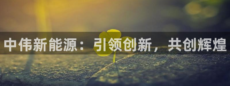 新宝GG耳78778:中伟新能源:引领创新,共创辉煌