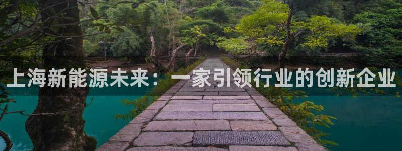 新宝gg入口网址:上海新能源未来:一家引领行业的创新企业