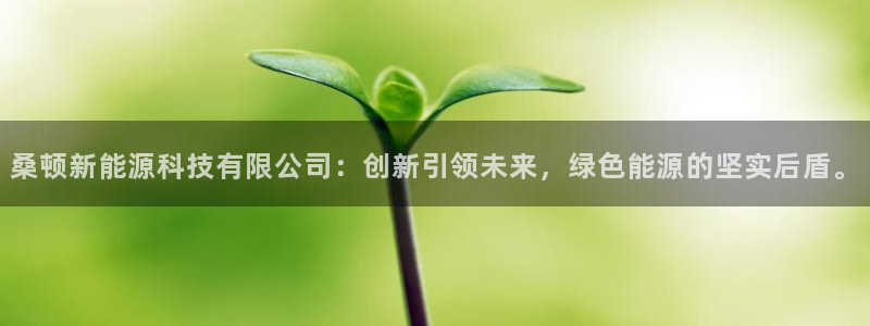 新宝gg招商42873：桑顿新能源科技有