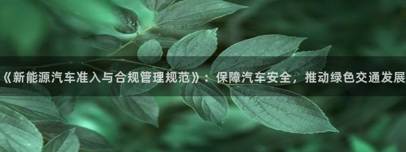 新宝GG反点:《新能源汽车准入与合规管理规范》:保障汽车安全