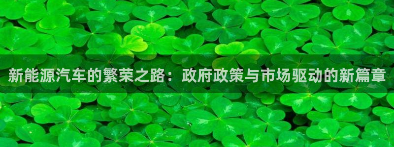 新宝gg干嘛:新能源汽车的繁荣之路:政府政策与市场驱动的新篇