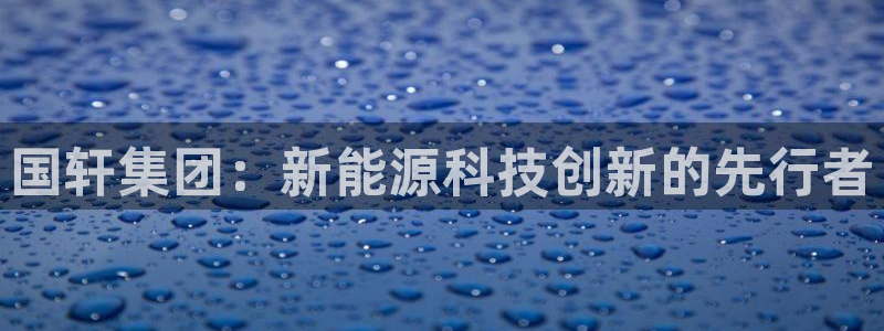 新宝+gg+登录:国轩集团:新能源科技创新的先行者