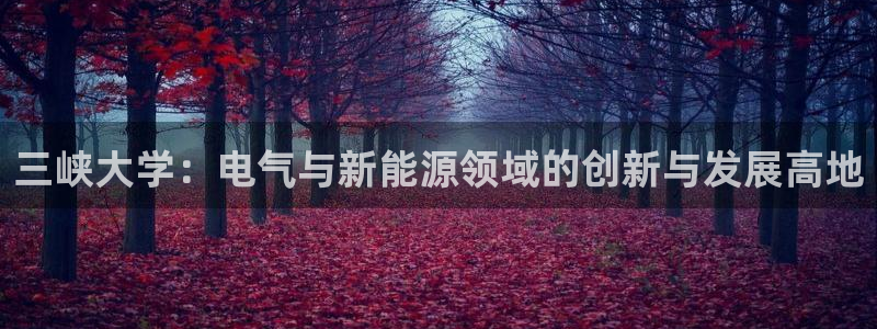 新宝gg是新宝几:三峡大学:电气与新能源领域的创新与发展高地