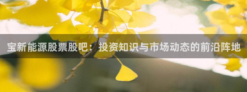 新宝gg网赚:宝新能源股票股吧:投资知识与市场动态的前沿阵地