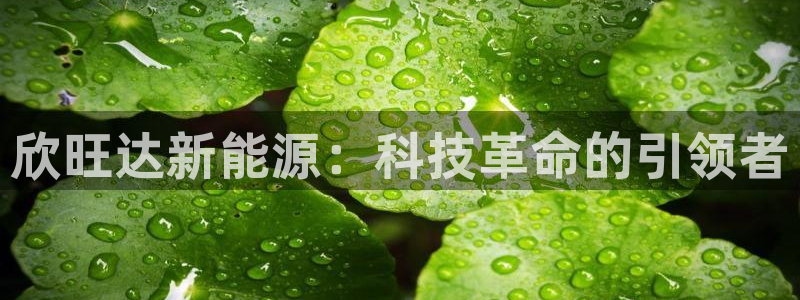 新宝gg公司:欣旺达新能源:科技革命的引领者