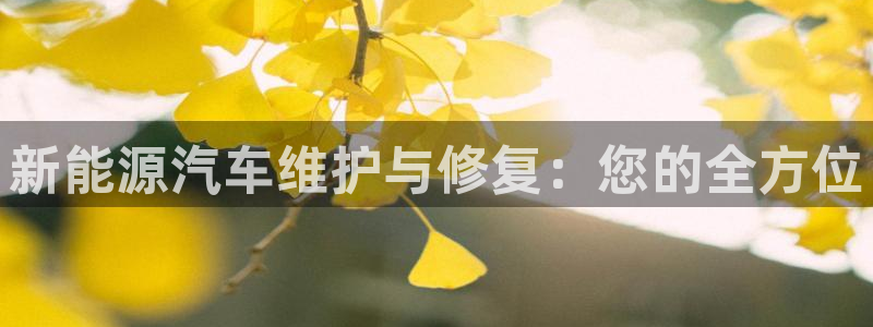 新宝gg平台注册:新能源汽车维护与修复:您的全方位