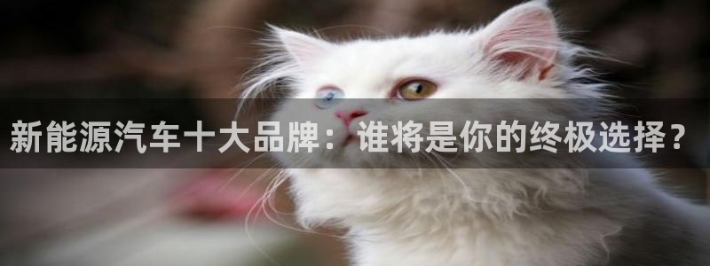 c新宝GG:新能源汽车十大品牌:谁将是你的终极选择?