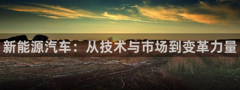 新宝gg dengludizhi