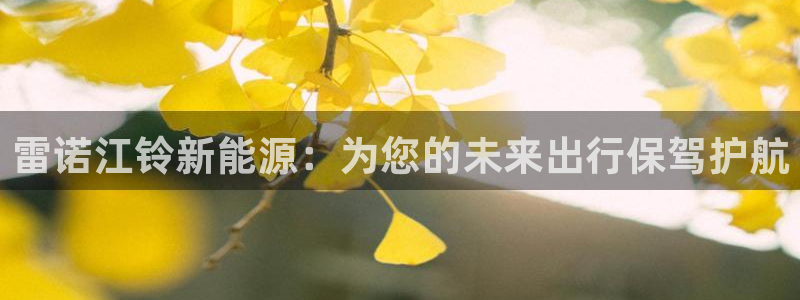 新宝gg佳740005:雷诺江铃新能源:为您的未来出行保驾护