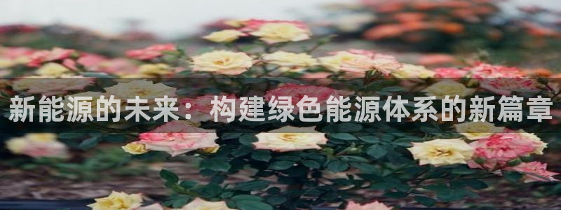 新宝gg注册q26880:新能源的未来:构建绿色能源体系的新