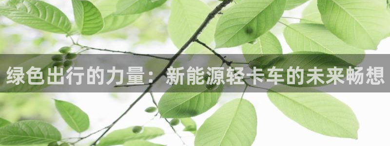 新宝娱gg：绿色出行的力量：新能源轻卡车