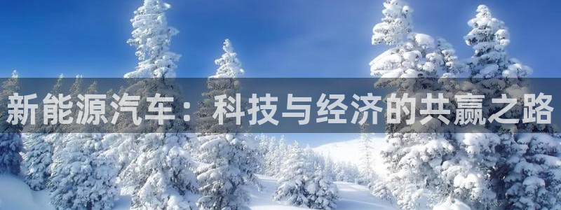 新宝gg主管花木兰：新能源汽车：科技与经