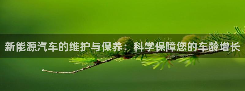 新宝gg和新宝5:新能源汽车的维护与保养:科学保障您的车龄增