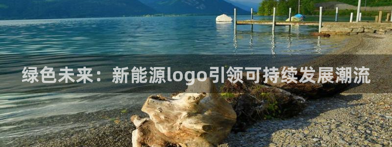 新宝GG柯78778：绿色未来：新能源l