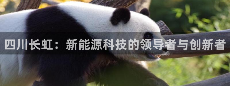 新宝GG娱乐下载：四川长虹：新能源科技的