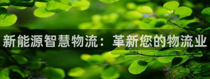 新宝gg平台首页：新能源智慧物流：革新您