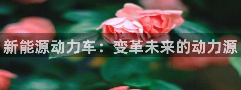 新宝gg注册平台：新能源动力车：变革未来