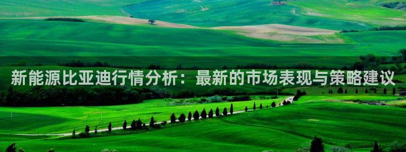 新宝gg 主管：新能源比亚迪行情分析：最