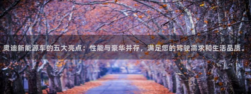 新宝gg类似：奥迪新能源车的五大亮点：性