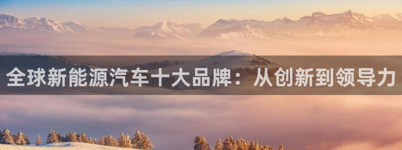 新宝gg注册登录网址：全球新能源汽车十大