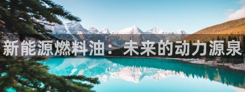 新宝gg会员登录：新能源燃料油：未来的动