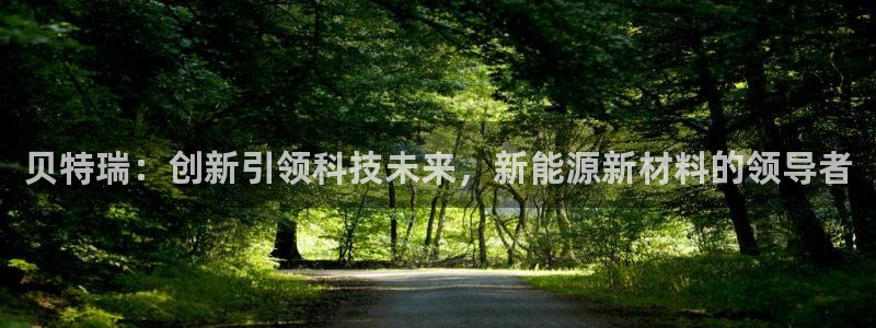 新宝GG绿色：贝特瑞：创新引领科技未来，