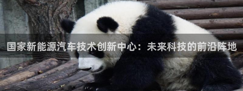 新宝gg 金苹果：国家新能源汽车技术创新