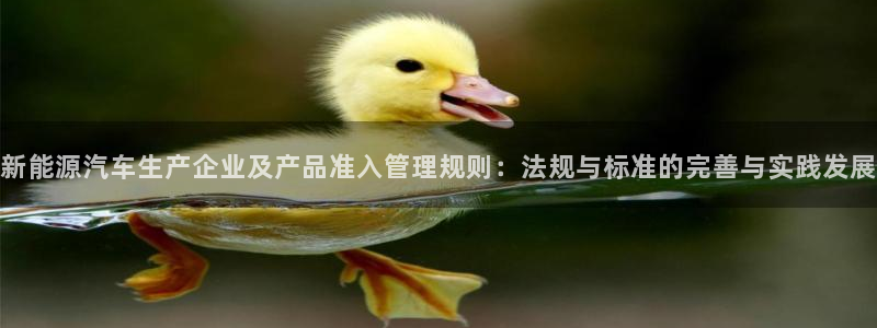 菲律宾新宝gg娱乐：新能源汽车生产企业及