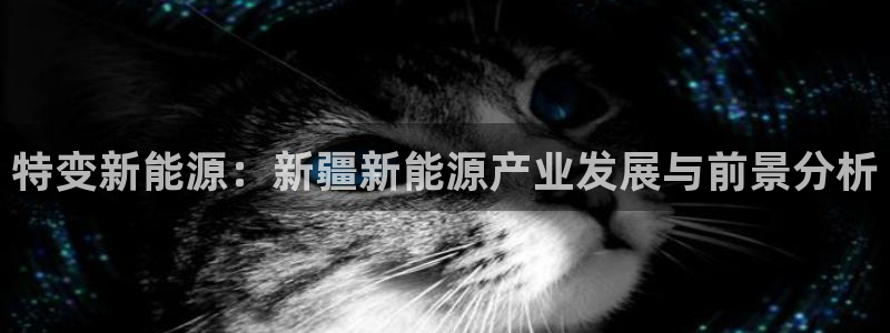 新宝gg创造奇迹：特变新能源：新疆新能源