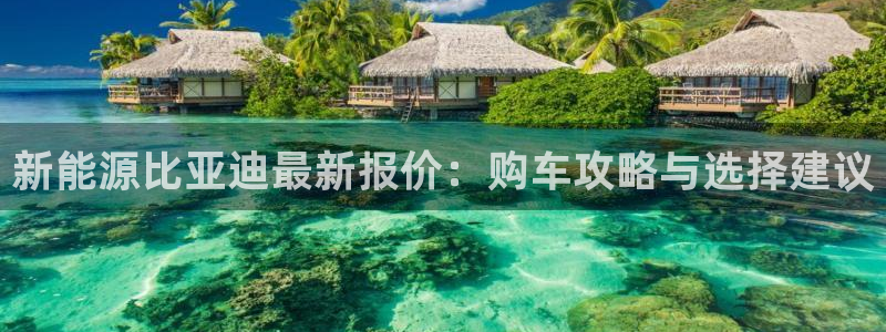 新宝gg助手：新能源比亚迪最新报价：购车