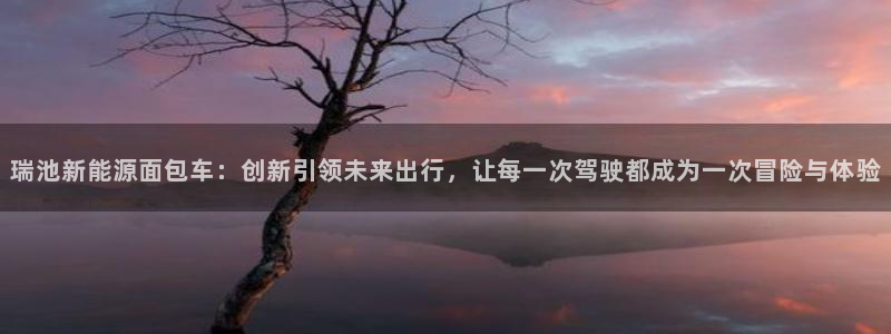 新宝gg主管weibo：瑞池新能源面包车