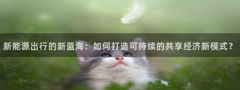 新宝gg首页平台：新能源出行的新蓝海：如