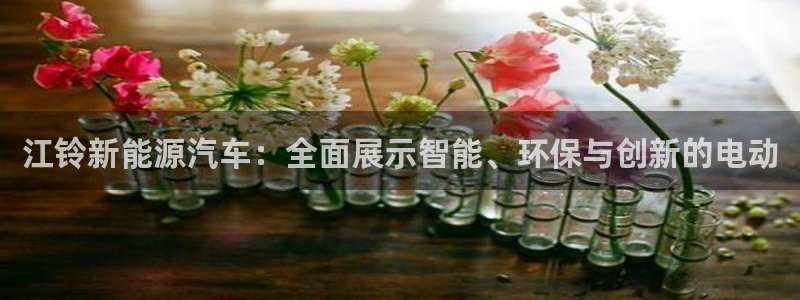 新宝GG上级：江铃新能源汽车：全面展示智